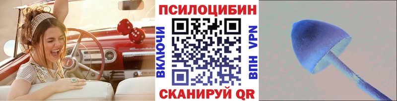Галлюциногенные грибы Cubensis  даркнет сайт  Белорецк 